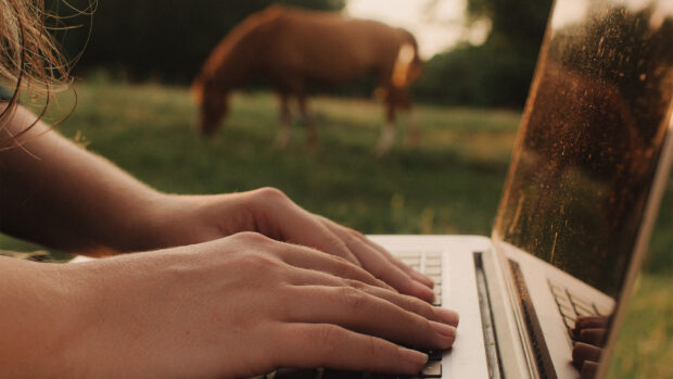 Close up of someone working on laptop with a horse in the background