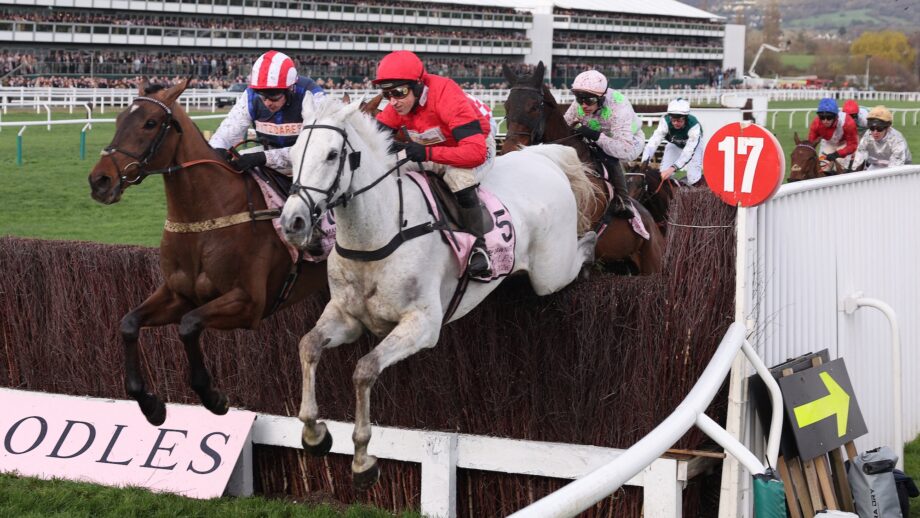 Grey Dawning ridden by jockey Harry Skelton (C) clears a fence in the Gold Cup chase horse race on the fourth day of the Cheltenham Festival at Cheltenham Racecourse, in Cheltenham, western England on March 13, 2026. (Photo by Adrian Dennis / AFP)
