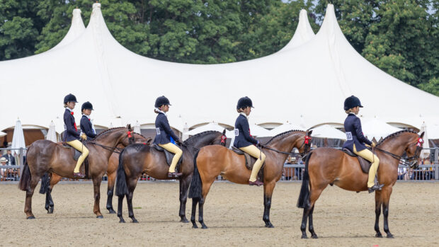Line up in the show pony championship at Royal Windsor Horse Show 2025