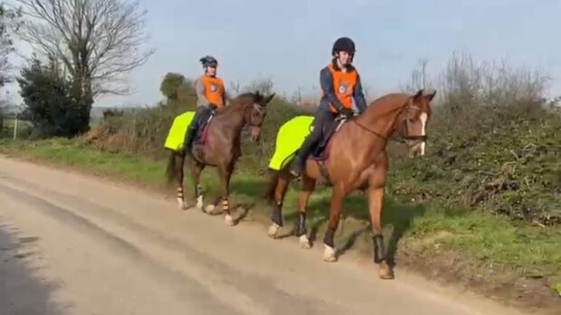 A still from the HGV driver training video showing two horses being ridden on the road
