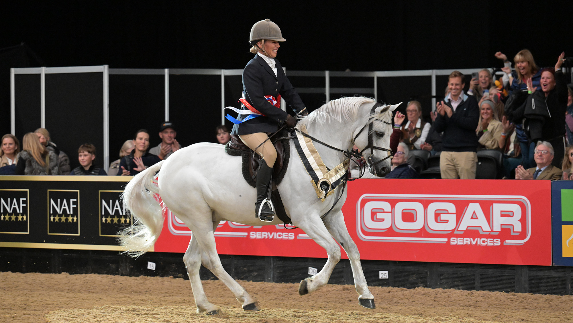 Working hunter pony winner at HOYS
