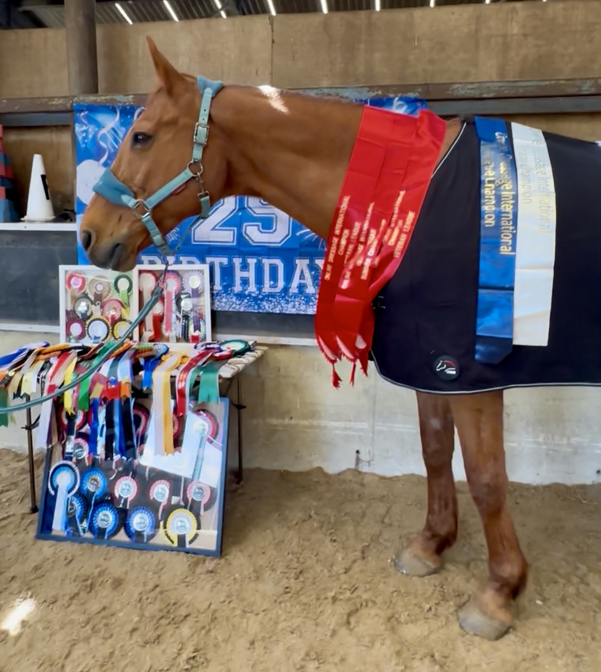 Salvation wearing some of his winner's sashes with a 25th birthday banner
