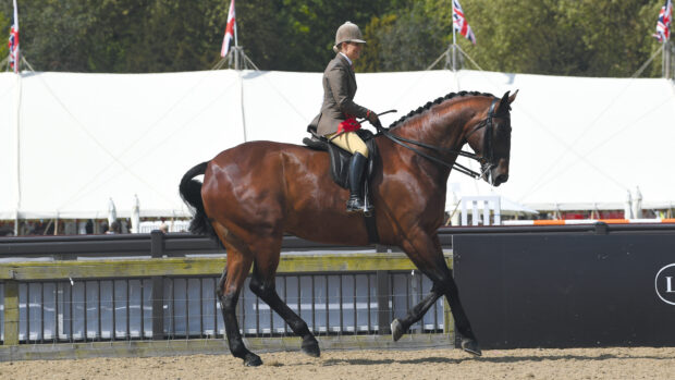 Isle Bright and Danielle Heath win the novice hunter spoils at Royal Windsor in 2018