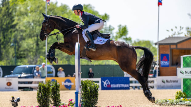 Tom McEwen and Brookfield Quality in the showjumping phase at Kentucky Three-Day Event