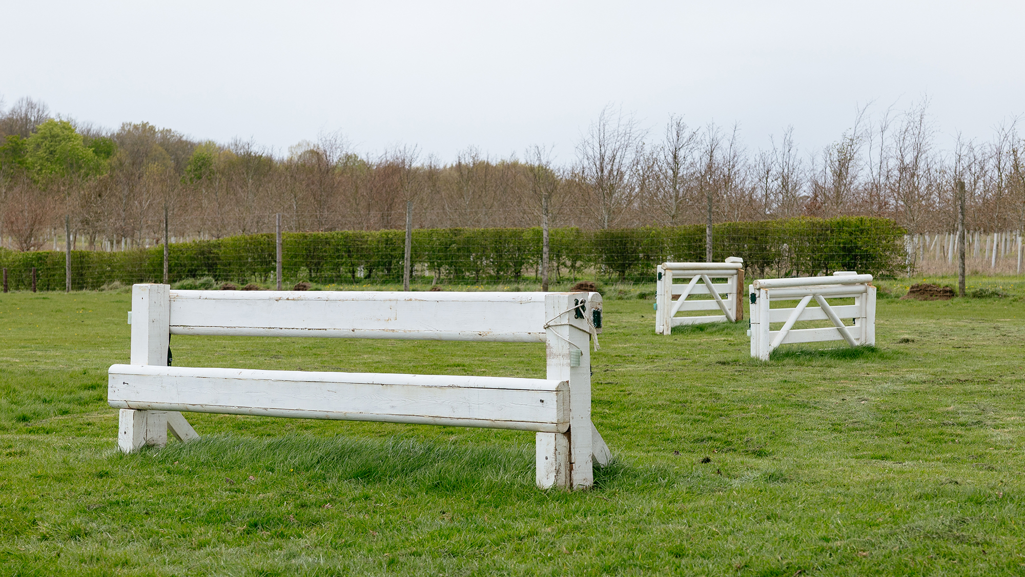 White rails with two white gates set at around 90 degrees in the background