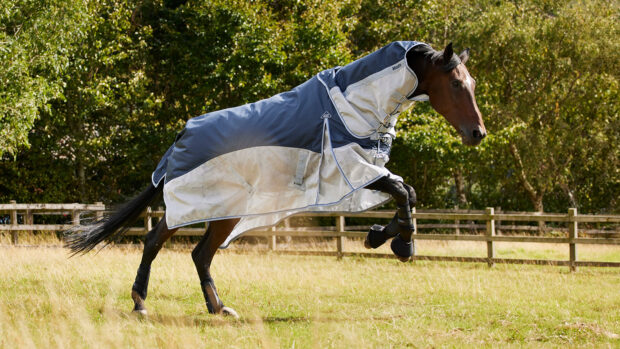 Horse in field wearing Turnoutmasta Hybrid Fly Rug With Detachable Neck Navy Blue