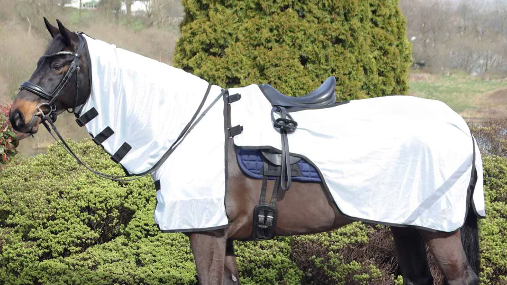 Masta ride on fly rug