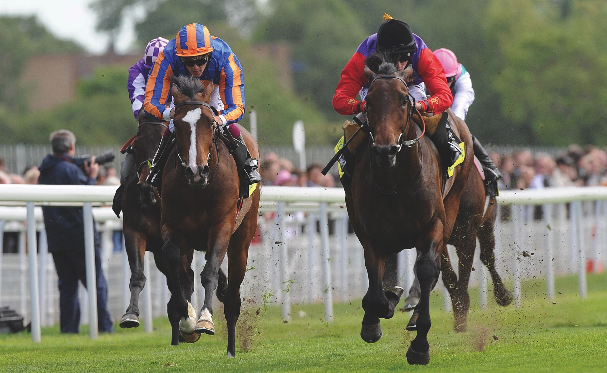 The Queen's Carlton house (red sleeves) wins the Dante Stakes in 2011