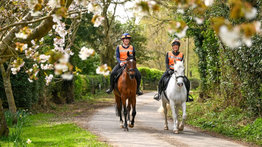 Two horses and riders hacking on quiet lane