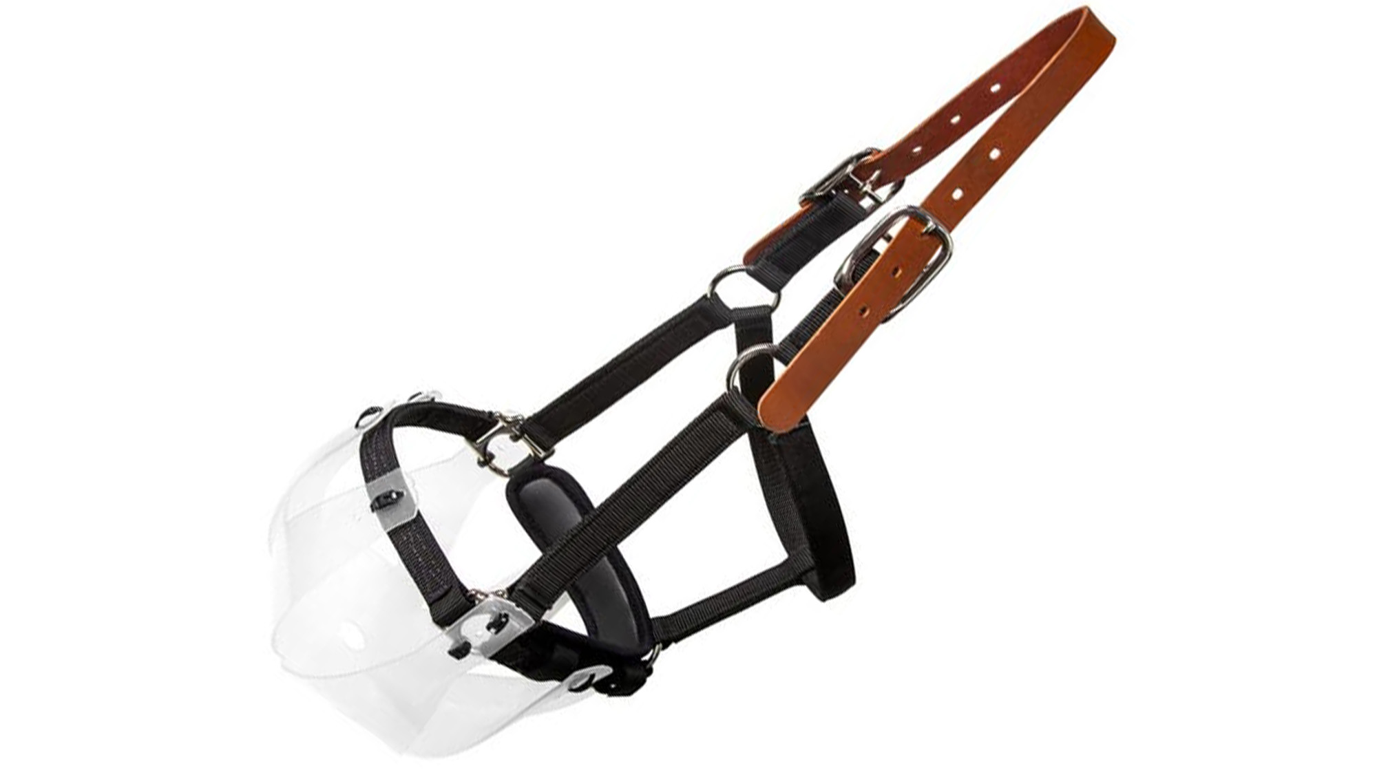 Thinline Flexible Filly grazing muzzle