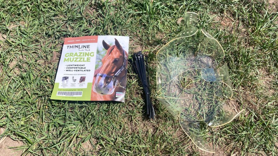 Thinline grazing muzzle set out on grass