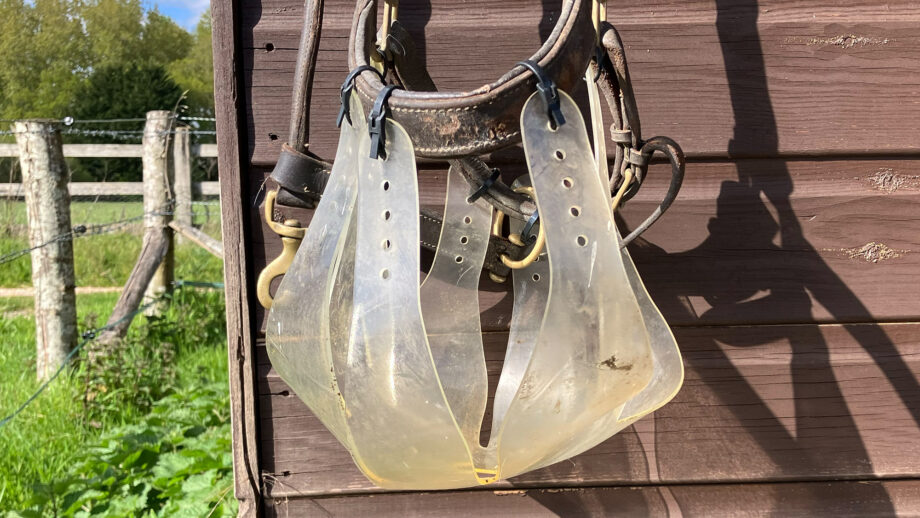 cose up of Thinline grazing muzzle hanging up showing discolouration