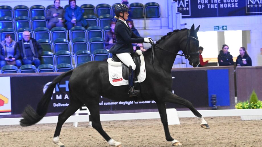 Sadie Smith canters around an indoor riding arena with seating visible behind her on board a black mare at the NAF Five Star Winter Dressage Championships
