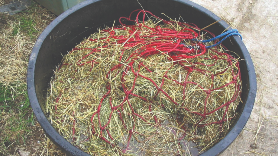 A red haynet being soaked for a horse in a large black bucket of water.
