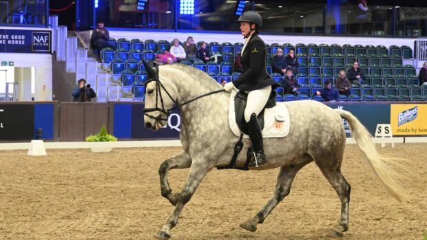 Woman rides a grey cob in a lap of honour