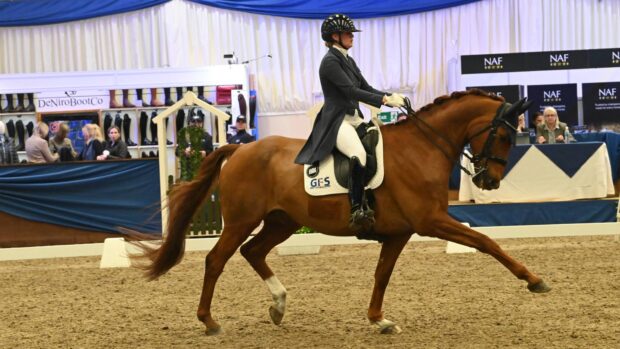 Woman rides a chestnut horse in extended trot.