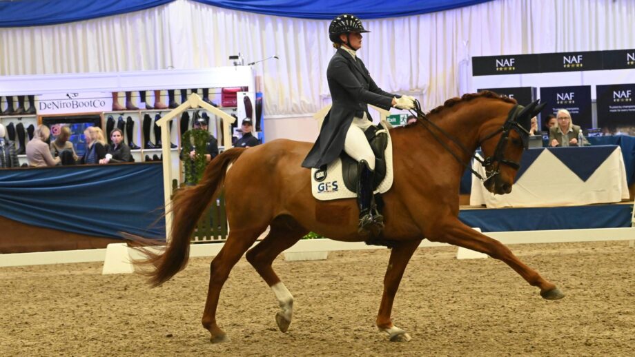 Woman rides a chestnut horse in extended trot.