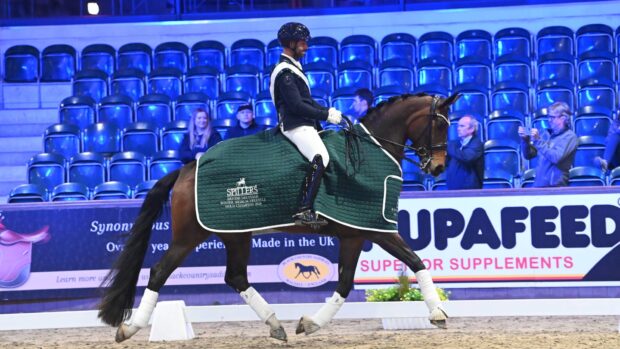 Man rides bay horse ho wears a green rug