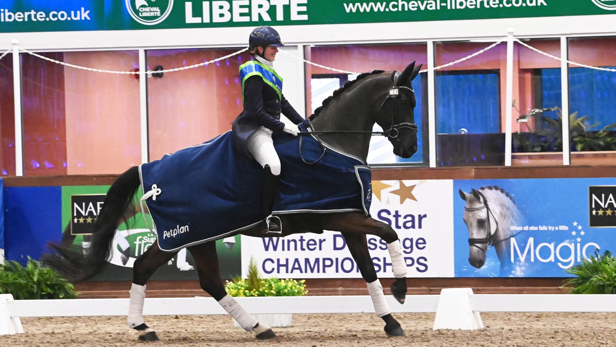 Woman wearing a winners sash cantering a black horse in a navy rig at the winter dressage championships