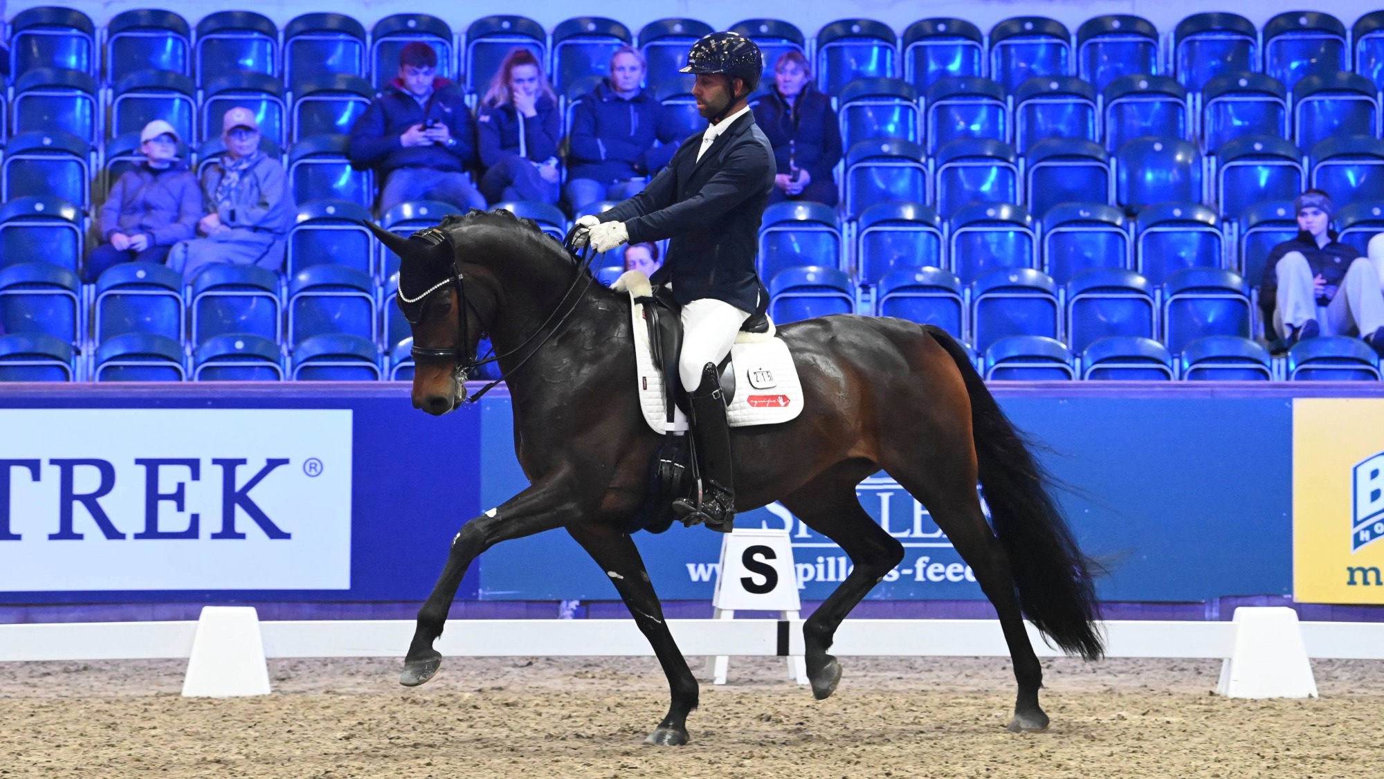 a man rides a bay mare in an indoor arena. The mare is trotting and he offers his hands forward. There is blue seating in the stands in the background.