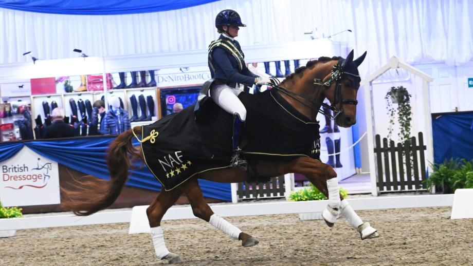 woman riding a chestnut horse at a canter. She wears a winners sash and the horse wears a black winners rug.