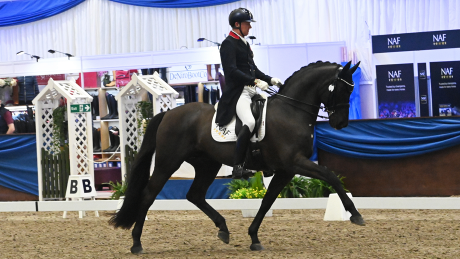 Gareth Hughes trotting a black stallion in an indoor arena at the winter dressage championships.