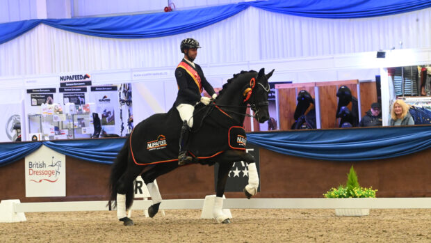 Dannie Morgan riding Belinski in the prizegiving wearing a sash and rug after winning the Nupafeed advanced medium freestyle gold at the Winter Dressage Championships.