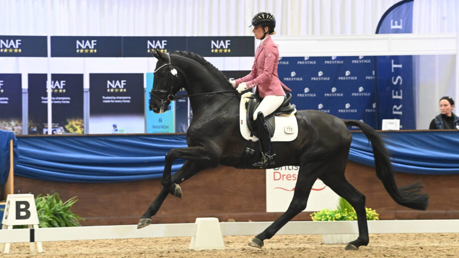 Charlotte Dujardin in a pink jacket riding Secret Agent in a medium test at the Winter Dressage Championships