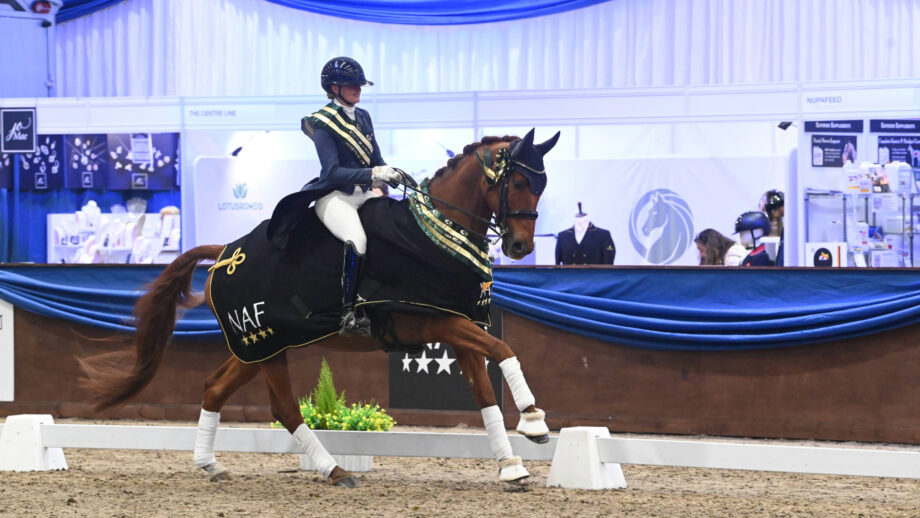 Gracie Catling riding her chestnut horse Qwinton in the prizegiving after winning the Superflex inter I freestyle gold at the Winter Dressage Championships.