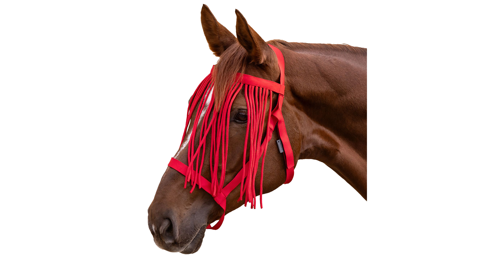 Waldhausen Grazing Halter with Fly Fringe