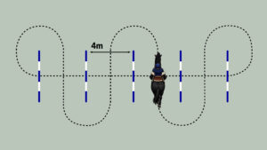 Diagram of exercise for how to improve your horse's bend in walk using five poles