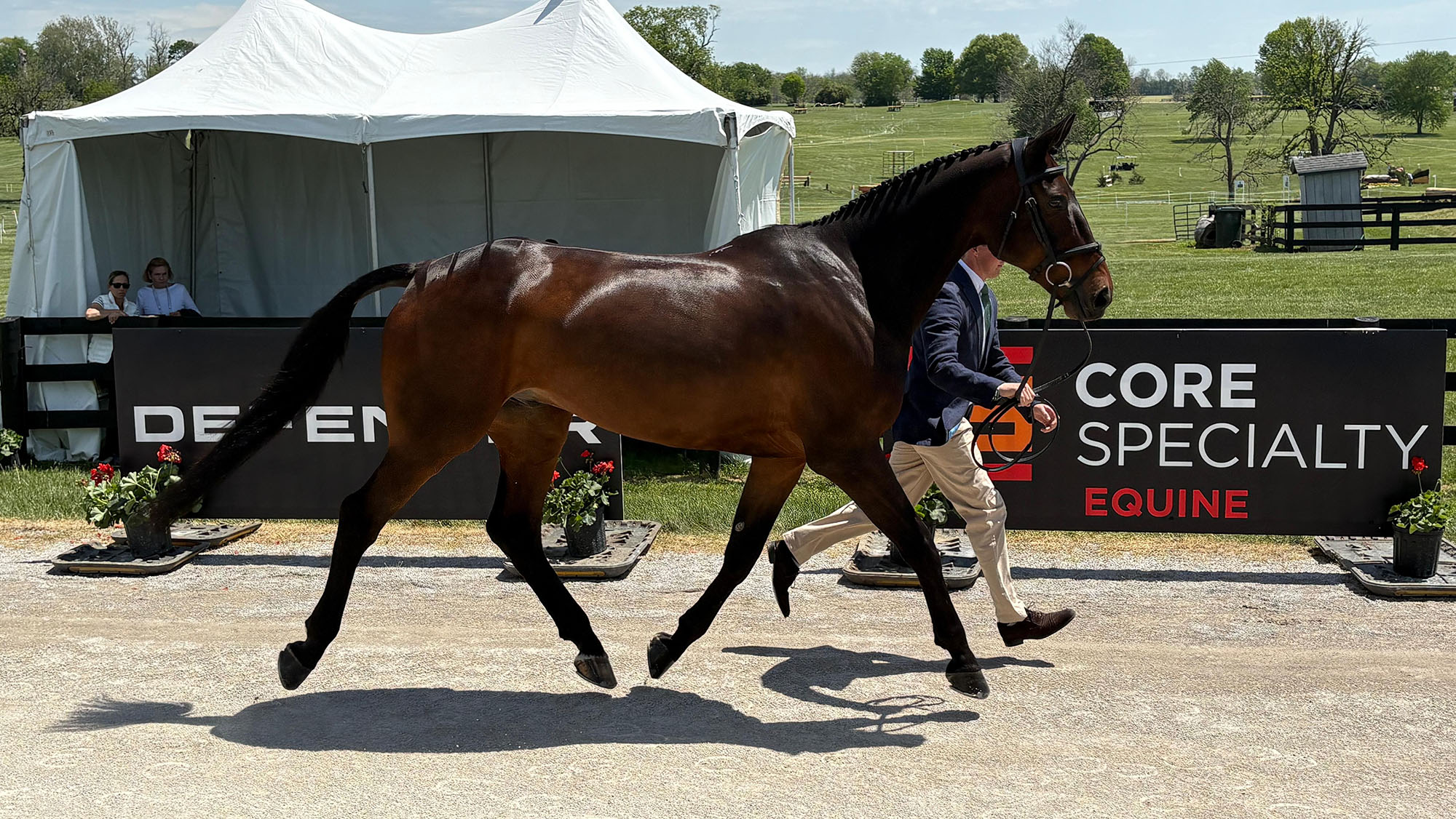 Tom McEwen presents Brookfield Quality at the Kentucky Three-Day Event first trot-up 2026.