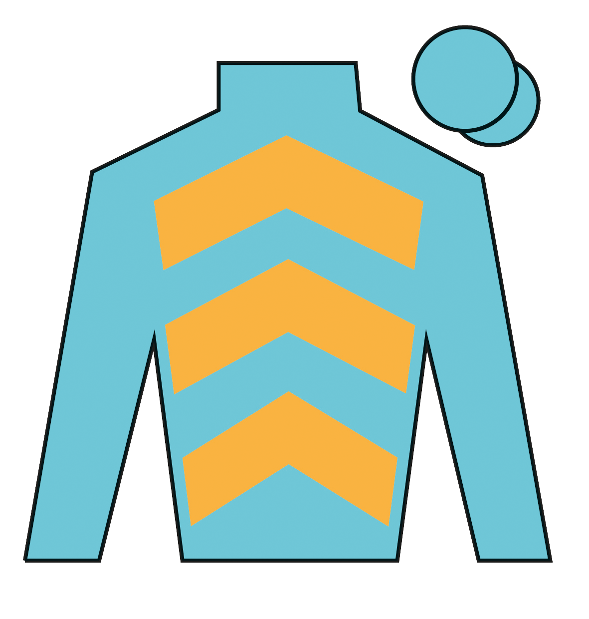 Jockey's silks for Beauport in the 2026 Grand National
