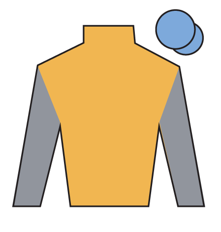 Jockey's silks for captain Cody in the 2026 Grand National