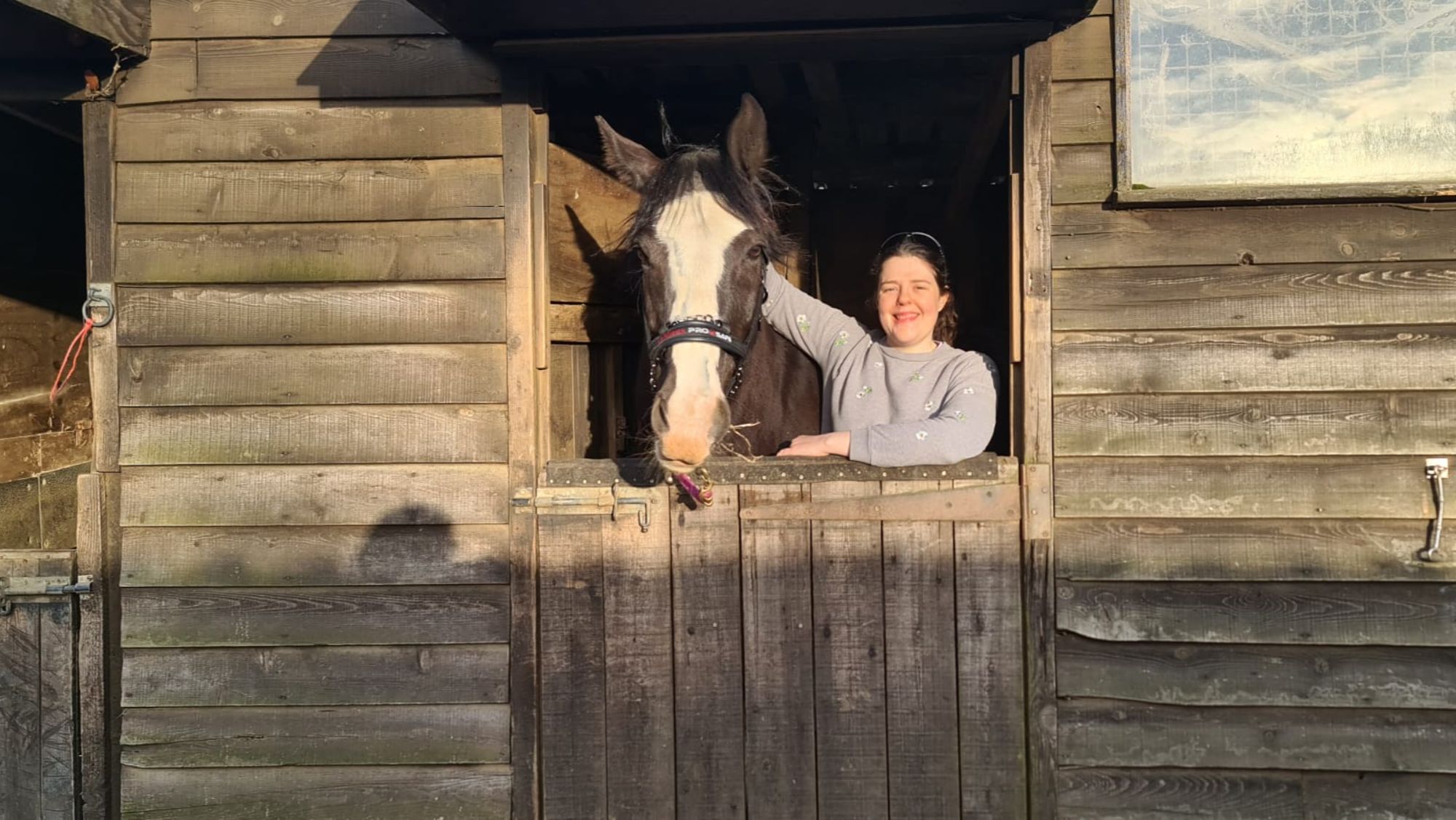 A bay horse wearing a headcollar with his head over a wooden stable door. A brown haired woman in a grey jumper stands next to him