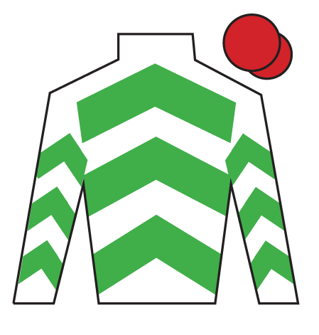 Firefox's silks as a 2026 Grand National runner