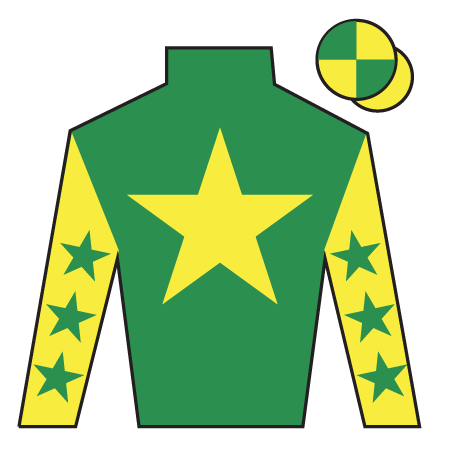Jockey's silks for Gorgeous Tom as a Grand National runner in 2026