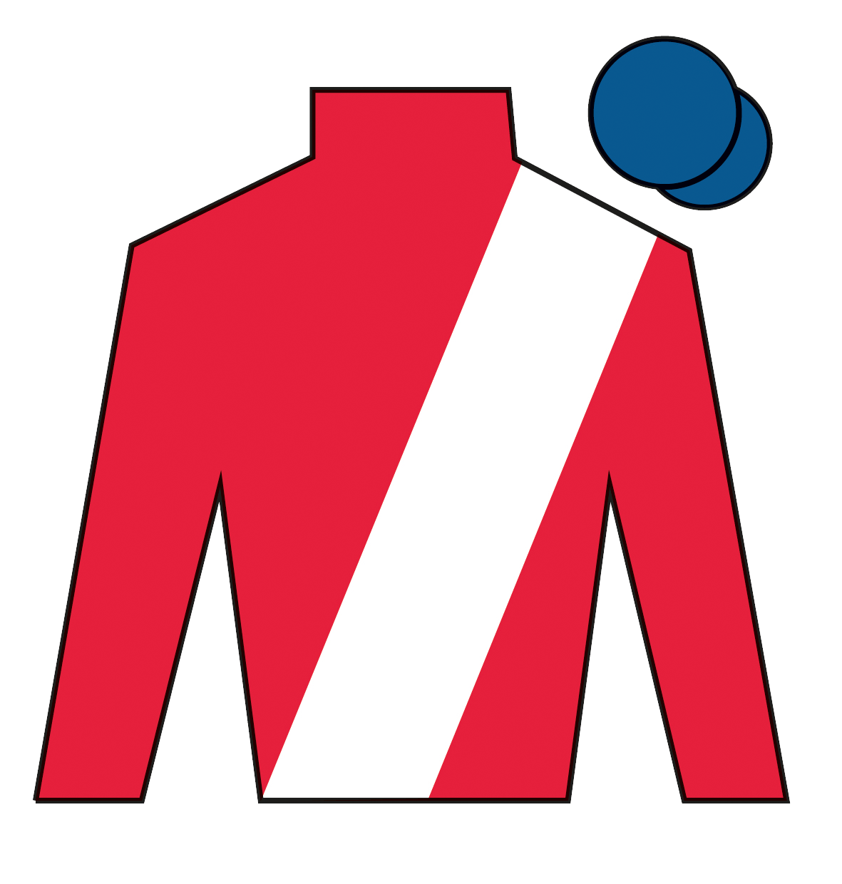 Jockey's silks for Grangeclare West as a Grand National runner for 2026