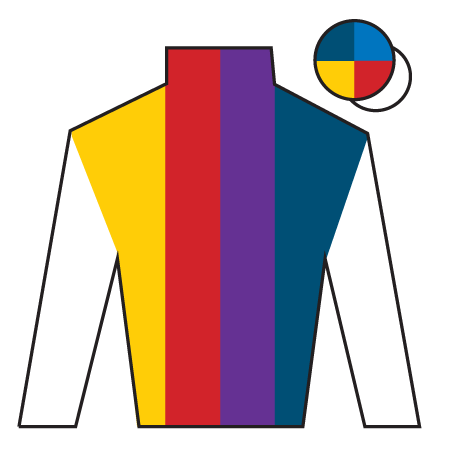 Haiti Couleurs silks as a Grand National runner 2026