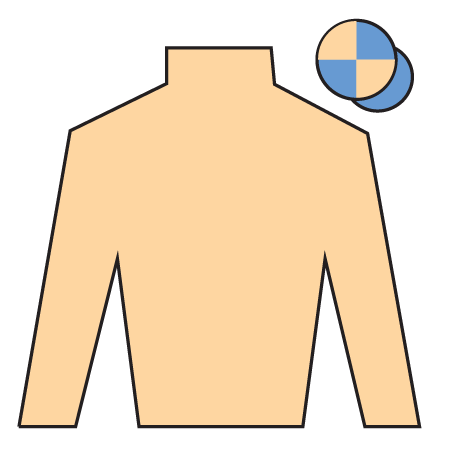 Imperial Saint's colours for the 2026 Grand National