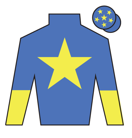 Jockey's silks for Jordans, one of the 2026 Grand National runners