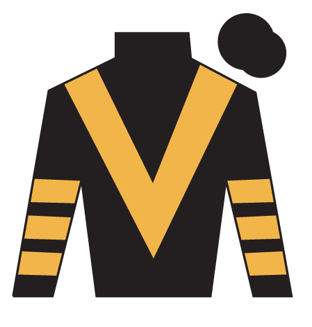 Nick Rocket's colours for the 2026 Grand National