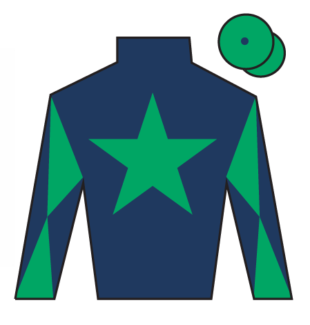Pied Piper's colours for the 2026 Grand National
