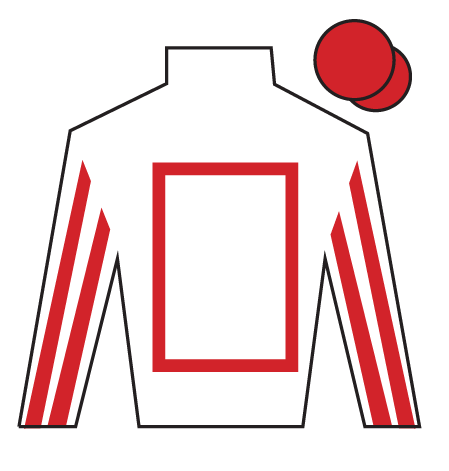 Jockey's silks for The Real Whacker, one of the 2026 Grand National runners