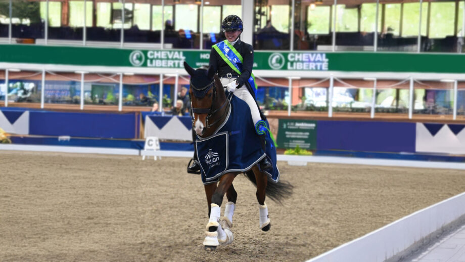 Woman wearing a winners sash riding her horse at the winter dressage championships in the indoor arena for a lap of honour.