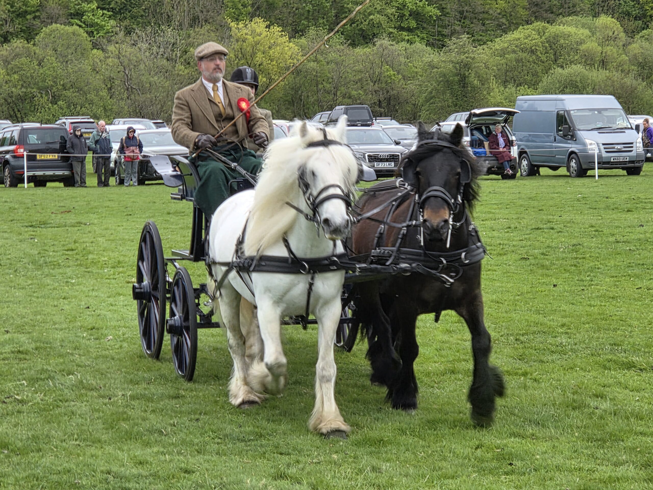 Tom Lloyd drives Hades Hill Little Prince and Hades Hill Little Pearl