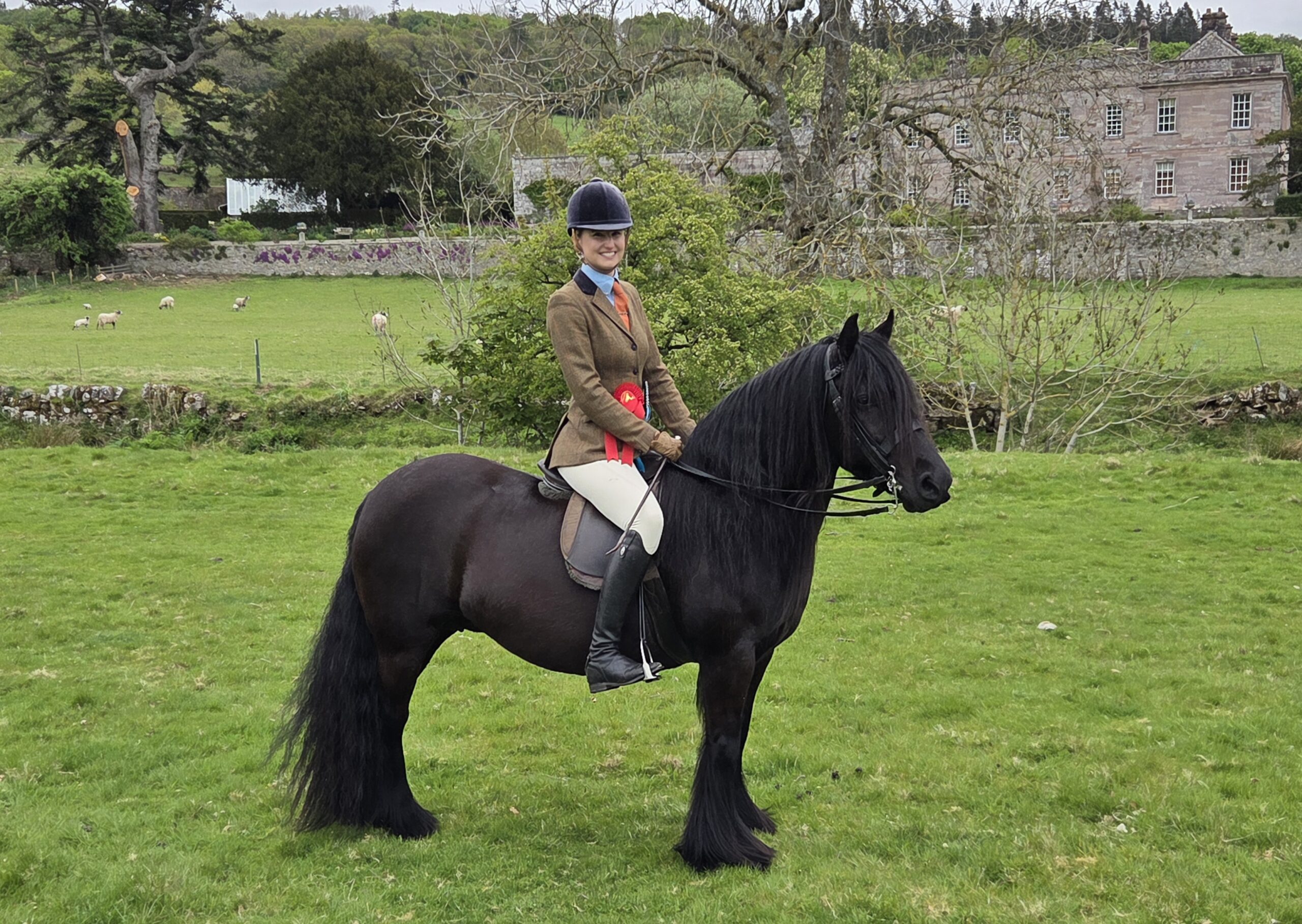 Anna Metcalfe and Fell pony mare Greenholme Kipper claim the HOYS ticket at the breed society's Stallion and Colt Show.
