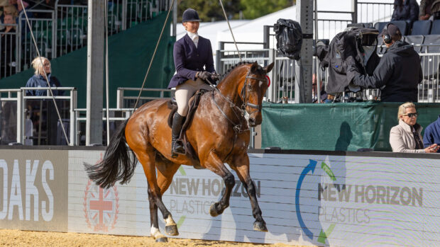 Hannah Horton and Its Lush top the 2026 Royal Windsor working hunter championship