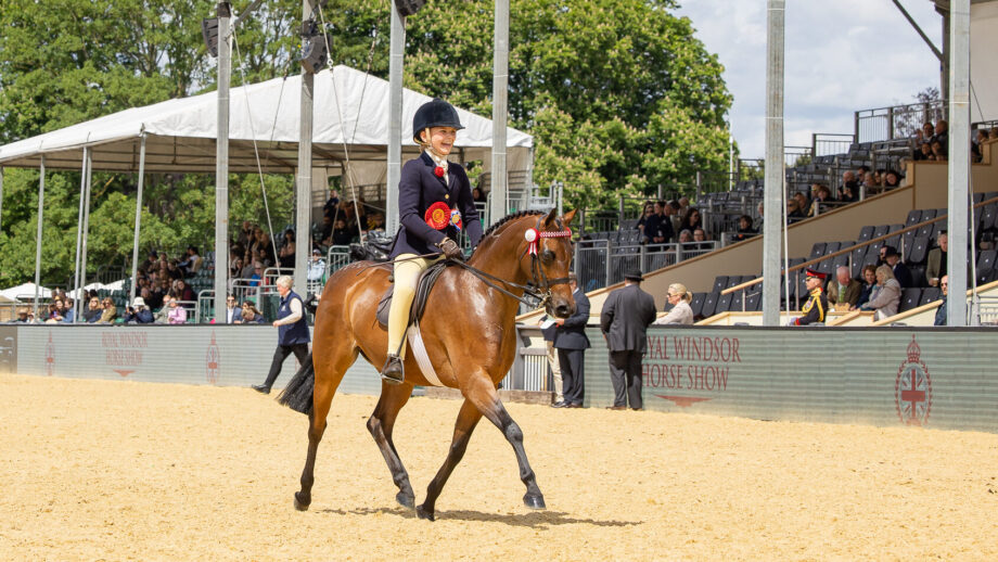A small bay show pony trots in front of the stands while her young female rider wearing a red winners’ rosette beams in delight.