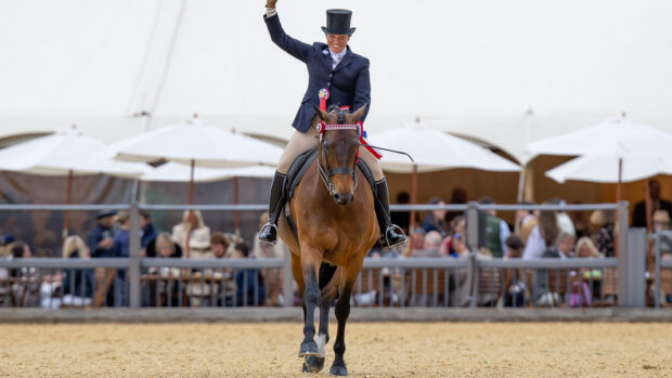 Vicky Smith and Tremarl Timpani trot towards the camera after being crowned riding horse champions at the 2026Royal Windsor